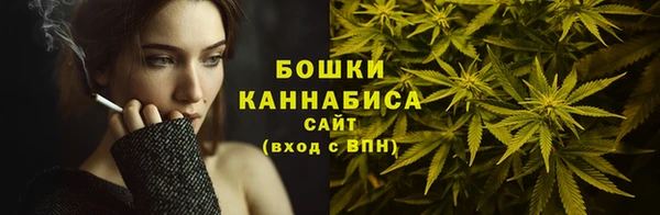 соль курить ск Каменка