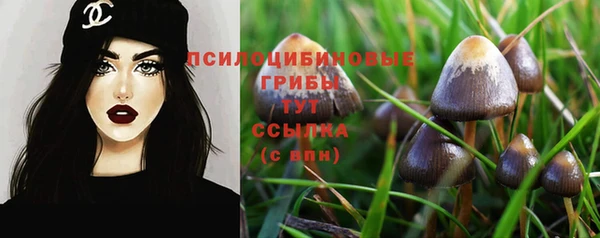 метадон Каменск-Шахтинский