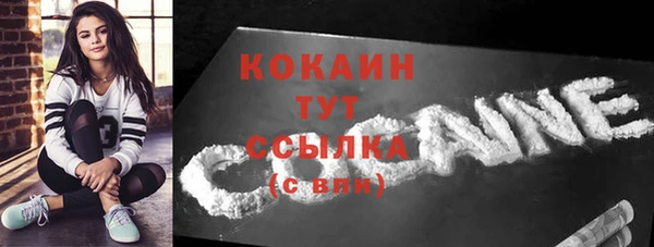 соль курить ск Каменка
